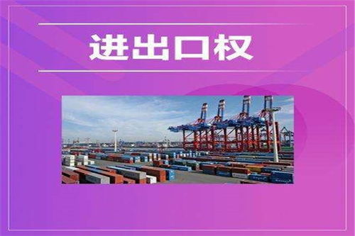 高效合規，成本優化 代理黎平縣對外貿易進出口備案服務的價值解析